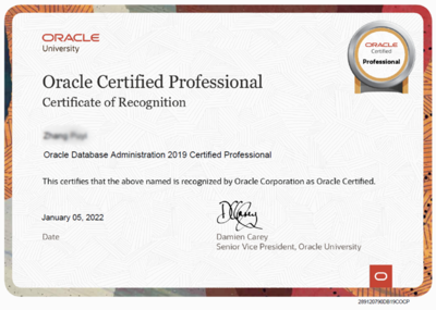 ORACLE OCA+OCP认证培训 开启专业数据库管理职业生涯